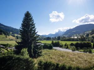 Chalet Étoile Near Megève
