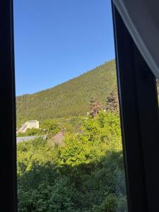 Guest House Borjomi Breeze