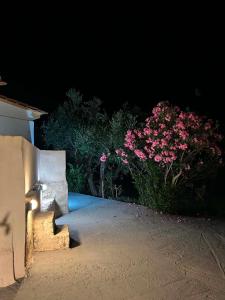 Casa di Nonno