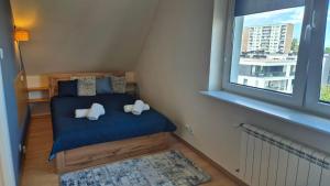 Apartament Polna