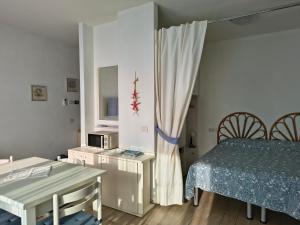Il riccio di mare img17