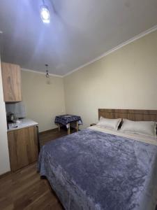 Guest House Borjomi Breeze