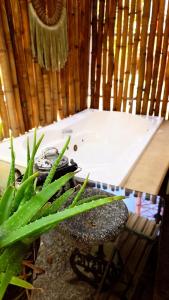 Casa Lili Excelente Oportunidad, Confort Total Y Alberca