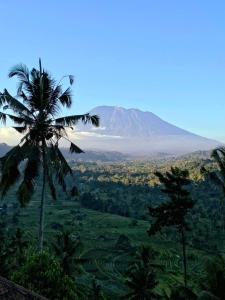 Embun Pagi Homestay And Spa
