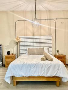 Suite in Oaxaca Centro