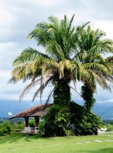 Rancho Eden