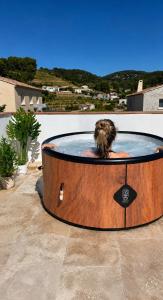 Petit Japon en provence
