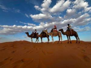 luxury tent in Merzouga