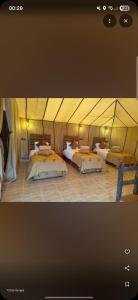 luxury tent in Merzouga