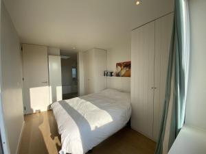 Apartment near Marina Nieuwpoort