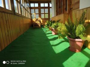 Apple farm stay with A Breathtaking views