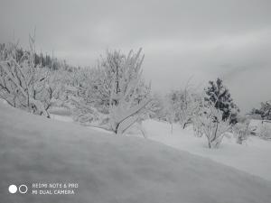 Apple farm stay with A Breathtaking views