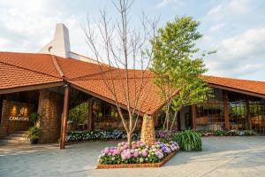 Camly the Boutique