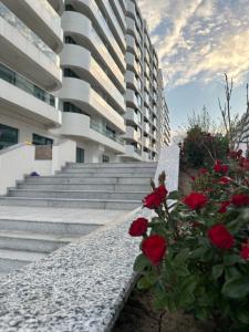 Axxis Blue Serenity - Beachfront Studio - Free Underground Parking