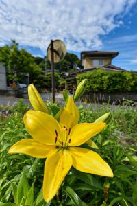 itoshima 個性的な日本家屋