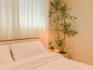 Gangnam 6 people, Daechi, Seolleung, 5 minutes from Hanti Station, COEX, K-pop,