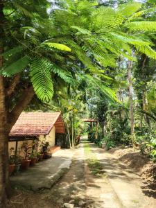 Outbackwoods homestay room Robusta