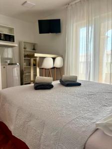 Škiljini dvori - Studio-apartman 1