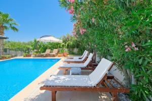 Tetra clover suites