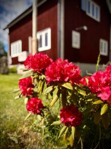 Photoeverhome