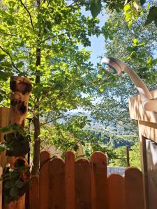 Mirna Gora off-grid glamping
