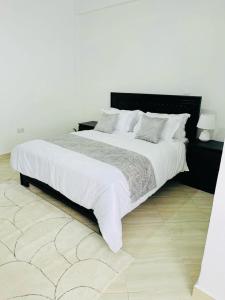 Arusha town Apartment