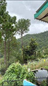 The Pahadi Ghar