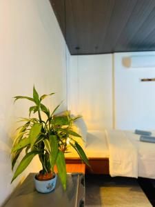 Cinnamon Homestay ella