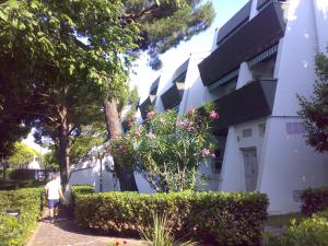 Residence MARE App Alga 24