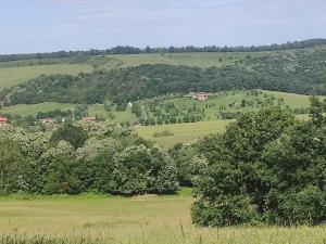 Barangoló vendégház