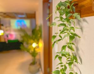 Wood sage House #3LDK #Busan KTX Station 1min #Large House