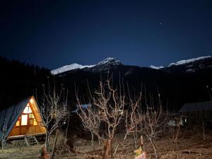 EcoGlampLife