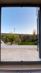 Villa in Puglia with sea view and olive trees