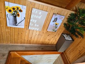 Eco house Vidikovac