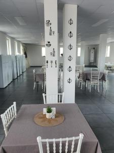 Hostel Tsanovi