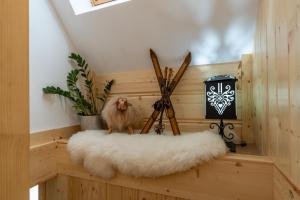 Apartamenty Wiktorówka