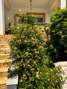 Rafaellas Maisonette at Rafaella Resort