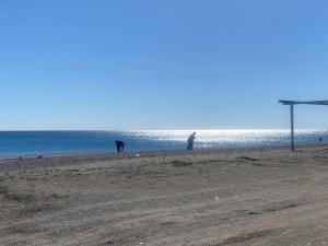 Camping Cammello Grigio