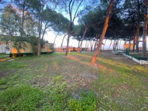Camping Cammello Grigio