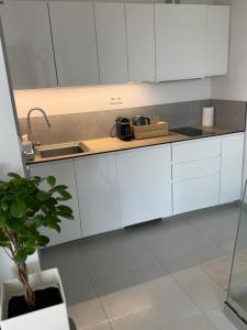 Apartament Lichen