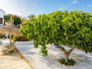 Casa Gusta Ibiza Vibes