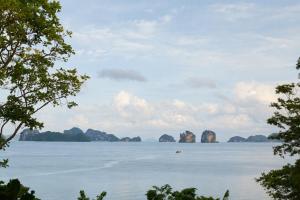 Amber Yao Noi