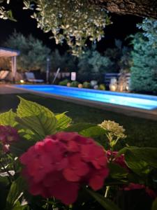 Luxury apartment with private pool Sunset