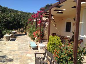 Fissi Villas agritourism accommodation near the sea
