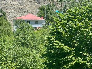 Hamsiköy green garden