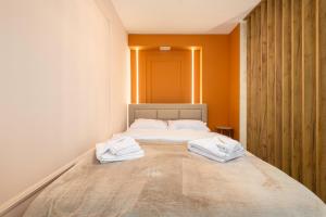 Ambre Studio - Bold Design Suite