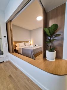 Apollonos 26 Luxury Suite