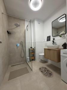 Apartment Roko