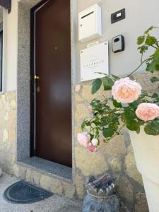 Villa Cavour Universita Ospedale Potenza