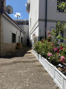 Villa Cavour Universita Ospedale Potenza